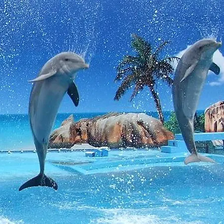 Charming With Shared Pool In - 60 M² Lägenhet Albufeira